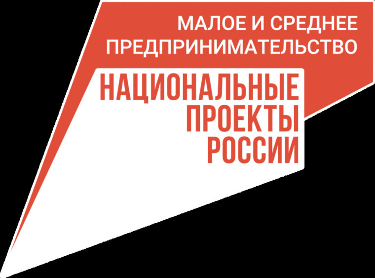 НАЦПРОЕКТЫ: ПОДДЕРЖКА СОЦИАЛЬНОГО БИЗНЕСА - Комитет по социальной защите населен